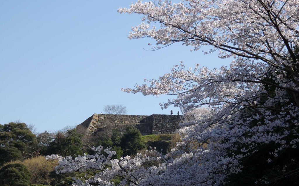 🏯 요나고 성터